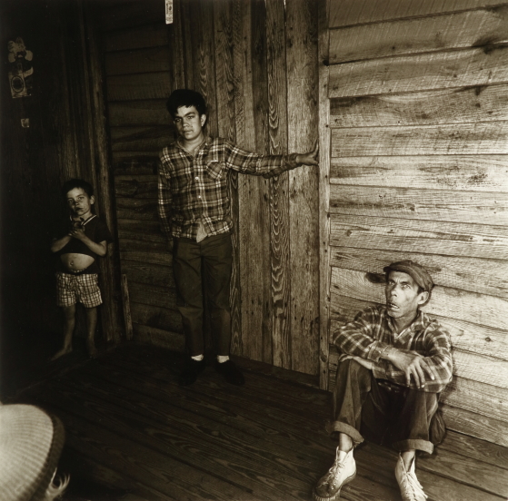 Three Boys on a Porch, Beaufort County, S.C. 1968