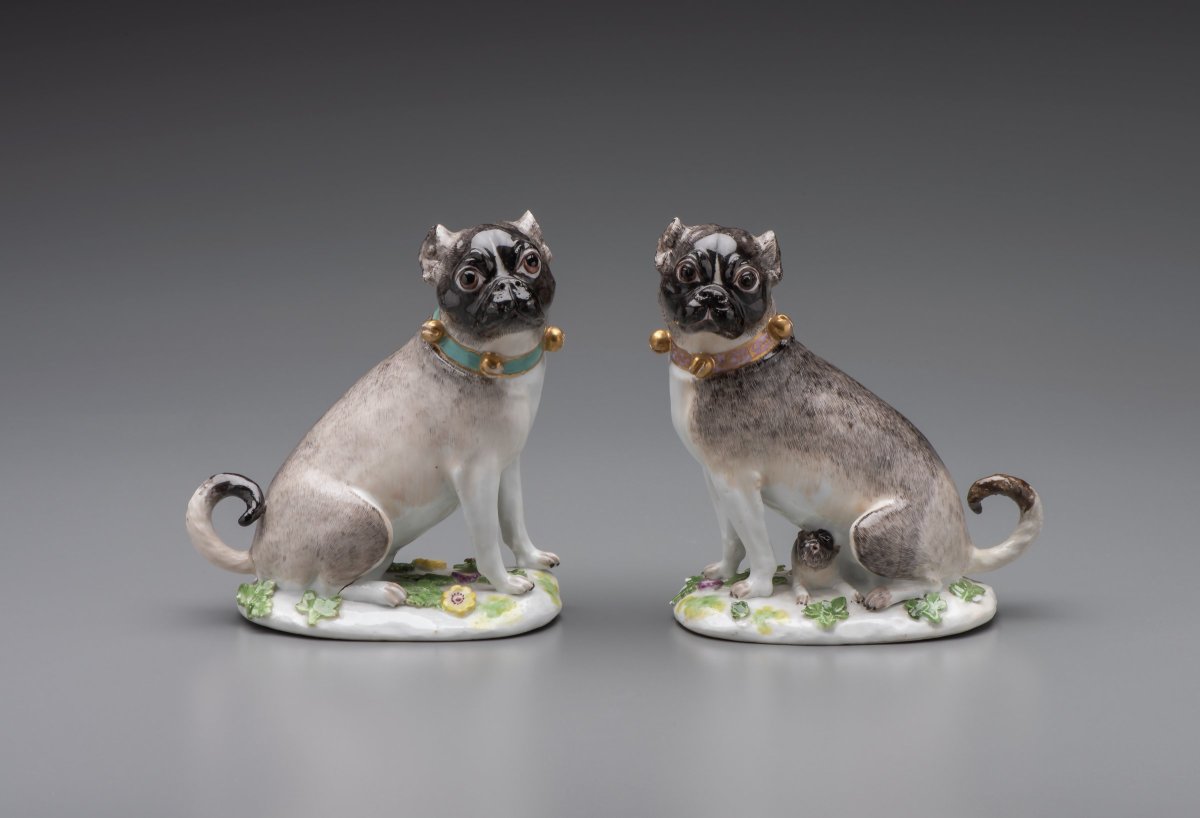 Pair of Pugs